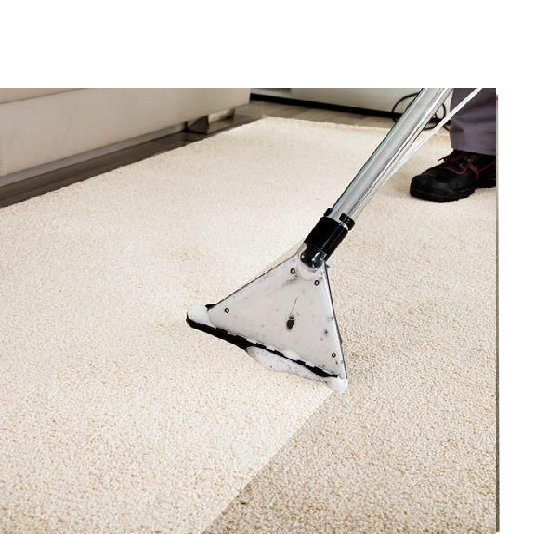 Professional Carpet Cleaning Services in Omaha NE Done Right Carpet