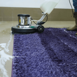 area rug cleaning professional bellevue