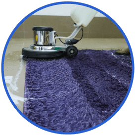 bellevue rug cleaning expert