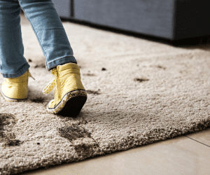 elkhorn child-safe carpet stain removal services