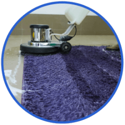 bellevue rug cleaning expert